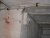 DSCN0573.JPG