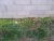 20121223_121816_resized.jpg