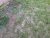 20121223_121818_resized.jpg