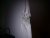 WP_000142.jpg