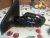 20130404_105754.jpg