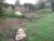20130425_070506.jpg