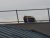 DSCN2706.JPG