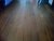 IMG-20130216-00052.jpg