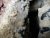 Photo muret et fil elec 4.jpg