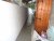 DSC01101.JPG