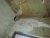 20130915_113603.jpg