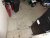 DSC01711r.JPG