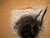 20131018_215902.jpg