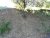 DSC01368.JPG