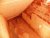 100_3537.JPG