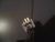 photo2.gif