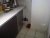 IMG00028-20140226-1755.jpg