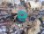 mini_IMG_1801-2014-3-22.JPG