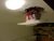 20140323_195825.jpg