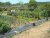 DSC01455.JPG