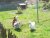 DSCN1320.JPG