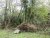 DSC01135.JPG