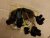 20141202_092029.jpg