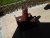 20150415_122743.jpg