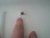 20150621_162838.jpg
