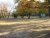 DSC00047.JPG