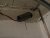 DSC02457.JPG