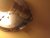WP_018369.jpg