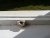 20160416_103632.jpg