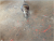 Capture3.PNG
