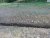 DSC00068A.jpg