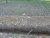 DSC00069.JPG