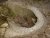 canalisation-800x600.jpg