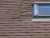 DSC03902.JPG