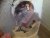 prise T2.JPG
