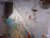 IMG-20180218-WA0000.jpg