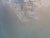 31189645_10213676524842260_8543449297666965504_n.jpg