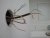20180617_110631.jpg