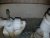 20180926_082753-min.jpg