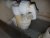 20180926_083138-min.jpg