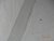 DSC01393.JPG