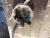 ED77725E-BD43-4D9E-9322-A04753D9BA11.jpeg