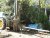 DSC00174.JPG