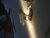 BB8C43E2-B924-4C03-A932-31F48E7ED78C.jpeg