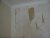 DSC05358.JPG