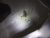 lunette_IMG_2263.JPG