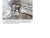 QUESTION RAPPORT AU GRES.jpg