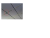 p.png