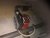 image1.jpeg