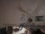 image0000001.jpg